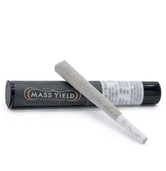 Mass Yield - Inzane in the Membrane - 1G Pre-roll