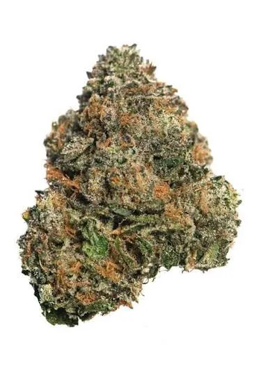 Bountiful - Candy Fumez - 3.5G Flower