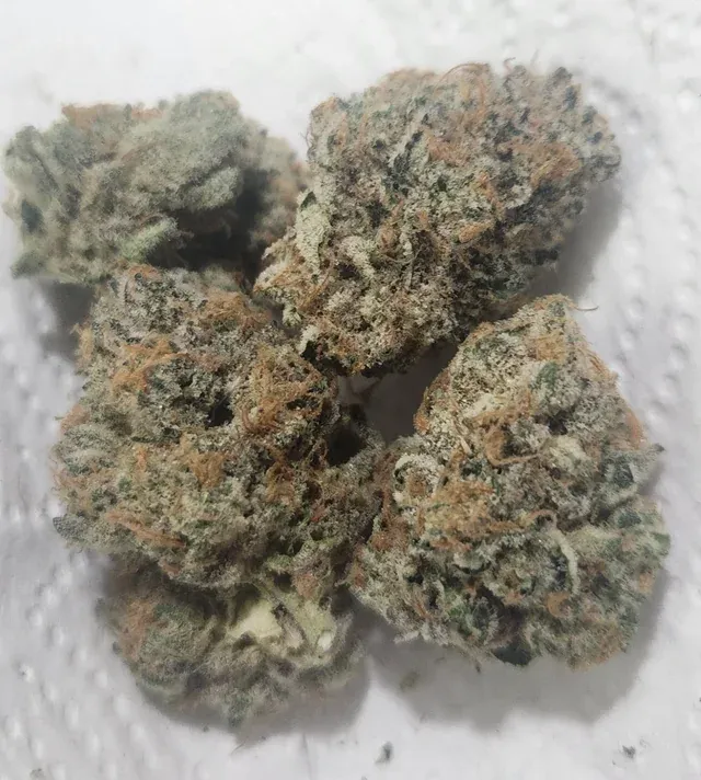 OMG - Chocolate OG - 3.5G Flower