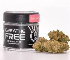 Breathe Free - Mango Smoothie - 3.5G Flower