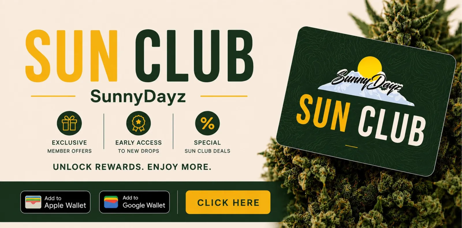 Sun Club