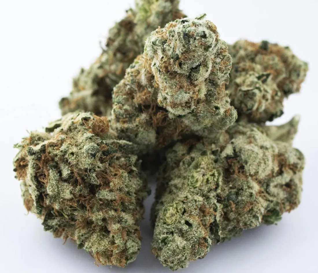 Bountiful - Texas Shoreline - 3.5G Flower