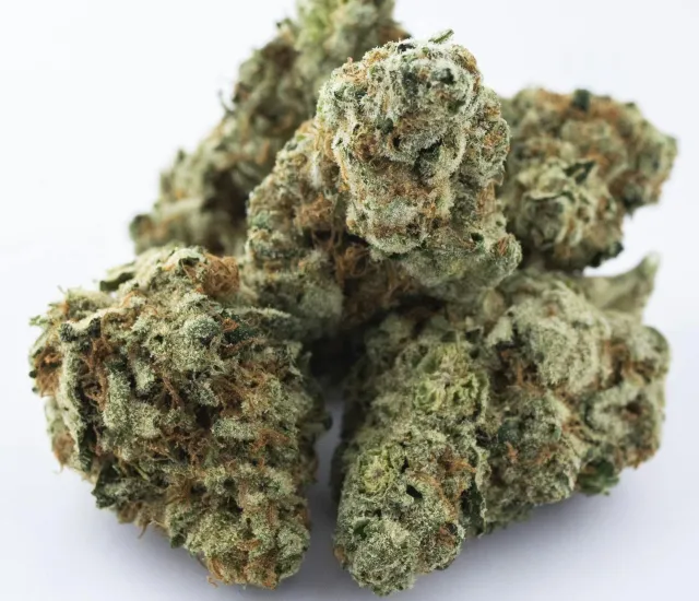 Bountiful - Texas Shoreline - 3.5G Flower