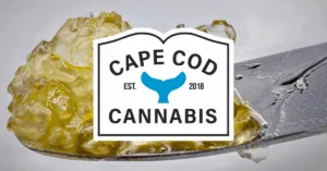 Shop Concentrates at Cape Cod Cannabis Dispensary near me on Cape Cod in Wellfleet, MA