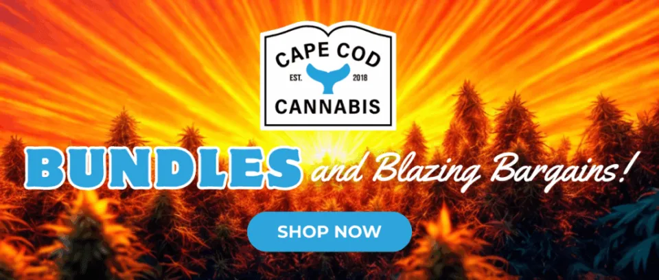 Cape Cod Cannabis Recreational Dispensary in Wellfleet, MA Shop our Bundles and Blazing Bargains and SAVE at Cape Cod Cannabis in Wellfleet, MAShop our Bundles and Blazing Bargains and SAVE at Cape Cod Cannabis in Wellfleet, MAShop our Bundles and Blazing Bargains and SAVE at Cape Cod Cannabis in Wellfleet, MAShop our Bundles and Blazing Bargains and SAVE at Cape Cod Cannabis in Wellfleet, MAShop our Bundles and Blazing Bargains and SAVE at Cape Cod Cannabis in Wellfleet, MA