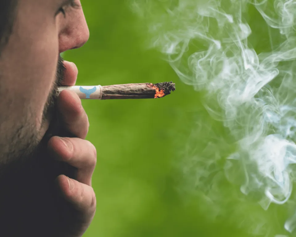Cape Cod Cannabis Recreational Dispensary in Wellfleet, MA Cape Cod Cannabis Recreational Dispensary in Wellfleet, MA