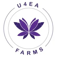 U4EA Farms at Cape Cod Cannabis in Wellfleet, MA