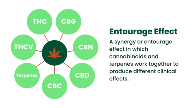 High THC and the Entourage Effect