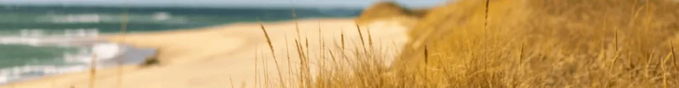 Get your tickets now for The Outer Cape Music Festival 2026 is in Wellfleet in September Labor Day Weekend - Cape Cod Cannabis in Wellfleet!