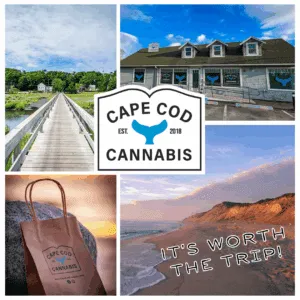 Cape Cod Cannabis Recreational Dispensary in Wellfleet, MA Your Cape Cod Summer Guide 2025: Cape Cod Cannabis Dispensary in Wellfleet, MA