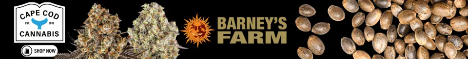 Cape Cod Cannabis Recreational Dispensary in Wellfleet, MA Cape Cod Cannabis Recreational Dispensary in Wellfleet, MA