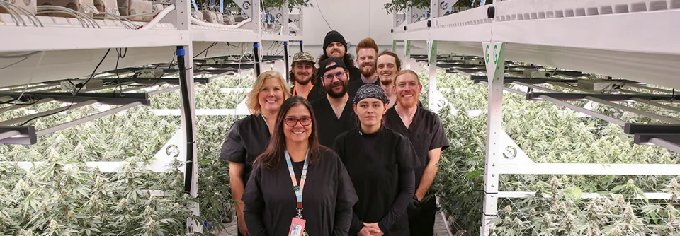 Cape Cod Cannabis Recreational Dispensary in Wellfleet, MA Cape Cod Cannabis Recreational Dispensary in Wellfleet, MA