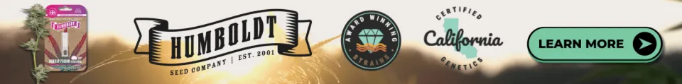 Cape Cod Cannabis Recreational Dispensary in Wellfleet, MA Learn more about Humboldt Seeds available at Cape Cod Cannabis in Wellfleet, MA
