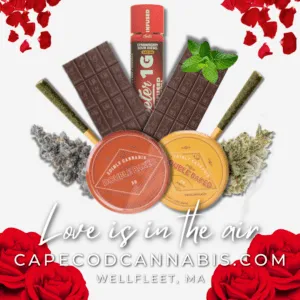 Cape Cod Cannabis Recreational Dispensary in Wellfleet, MA
