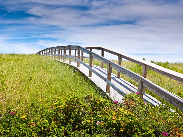 Cape Cod Cannabis Recreational Dispensary near Sandwich, MA Cape Cod Cannabis Recreational Dispensary near Sandwich, MA