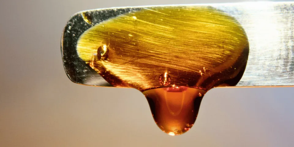 What is the difference between FSO (Full-Spectrum Oil) versus RSO (Rick Simpson Oil)? Cape Cod Cannabis in Wellfleet, MA