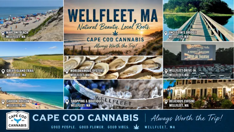 Cape Cod Cannabis Recreational Dispensary in Wellfleet, MA Things to Do in Wellfleet, MA and stop by Cape Cod Cannabis on your way, located in the Rt. 6 South Wellfleet Shopping Plaza!