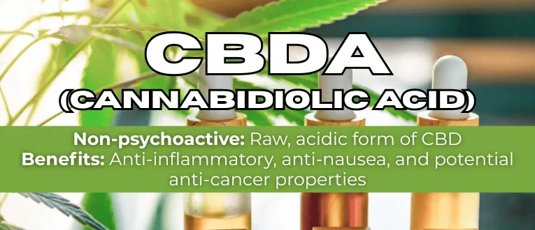 Shop CBDA Cannabinoids at Cape Cod Cannabis in Wellfleet, MA