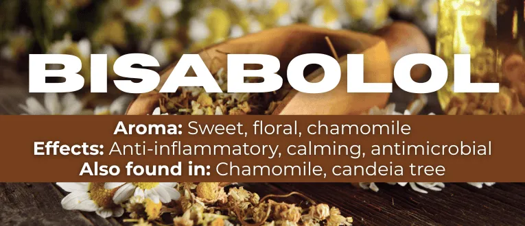 Shop Bisabolol Terpenes at Cape Cod Cannabis in Wellfleet, MA
