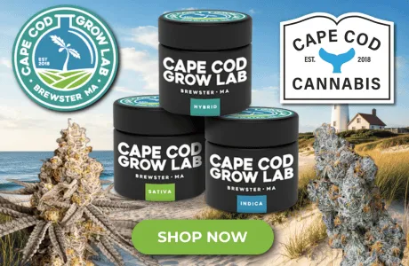 Cape Cod Cannabis Recreational Dispensary in Wellfleet, MA Cape Cod Cannabis Recreational Dispensary in Wellfleet, MA