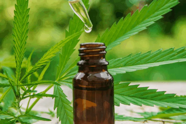 Cape Cod Cannabis Recreational Dispensary in Wellfleet, MA Find Tinctures at a Recreational Dispensary Near Me - Cape Cod Cannabis, Wellfleet, MA