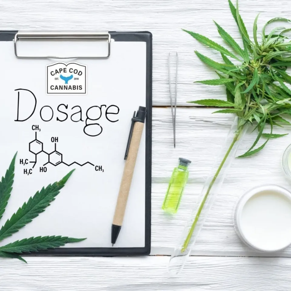 Cape Cod Cannabis Recreational Dispensary in Wellfleet, MA Cape Cod Cannabis Recreational Dispensary in Wellfleet, MA