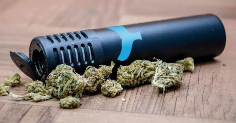 Cape Cod Cannabis Recreational Dispensary in Wellfleet, MA Cape Cod Cannabis Recreational Dispensary in Wellfleet, MA
