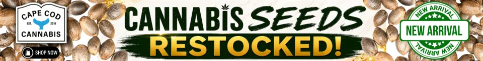 Shop Cannabis Seeds Restocked at Cape Cod Cannabis in Wellfleet! Shop Cannabis Seeds Restocked at Cape Cod Cannabis in Wellfleet!