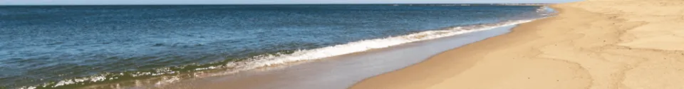 Discover Wellfleet and Cape Cod Cannabis on Rt. 6 in the South Wellfleet shopping plaza!