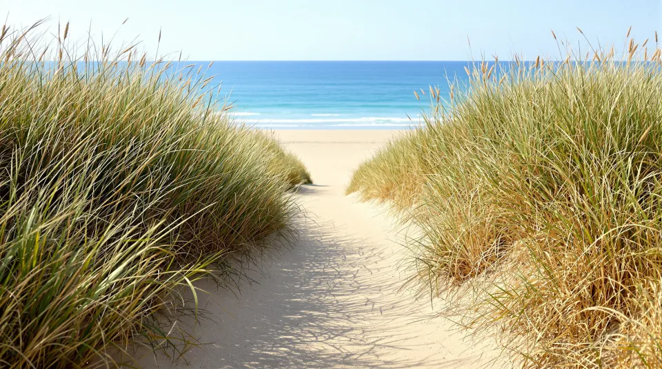 AI-generated illustration: a sandy path through beach grass to the sea