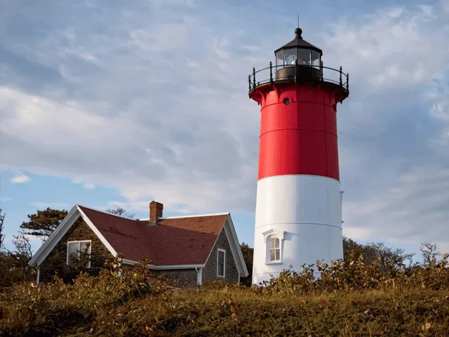 Cape Cod Cannabis Recreational Dispensary near Eastham, MA Cape Cod Cannabis Recreational Dispensary near Eastham, MA