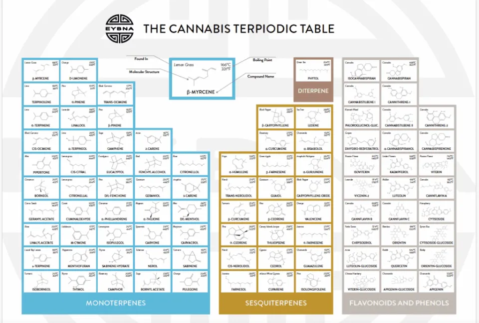 The Cannabis Terpiodic Table provided by EYBNA - Cape Cod Cannabis in Wellfleet, MA