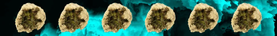 What is a cannabis moonrock? Check out our Anatomy of a Moonrock and shop for moonrocks at Cape Cod Cannabis in Wellfleet!