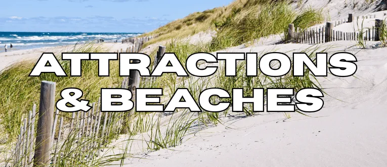Cape Cod Cannabis Recreational Dispensary in Wellfleet, MA Local Wellfleet, MA Attractions and Beaches near Cape Cod Cannabis in Wellfleet, MA