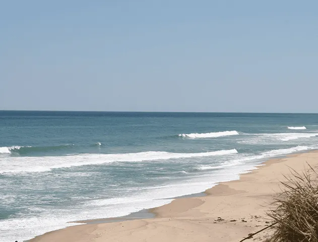 Cape Cod Cannabis Recreational Dispensary in Wellfleet, MA Cape Cod Cannabis Recreational Dispensary in Wellfleet, MA