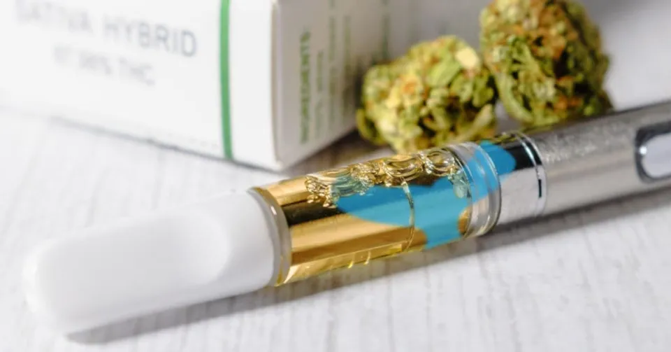 Cape Cod Cannabis Recreational Dispensary in Wellfleet, MA Cape Cod Cannabis Recreational Dispensary in Wellfleet, MA