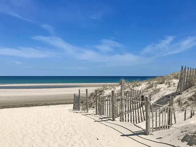 Cape Cod Cannabis Recreational Dispensary Near Dennis, MA Cape Cod Cannabis Recreational Dispensary Near Dennis, MA