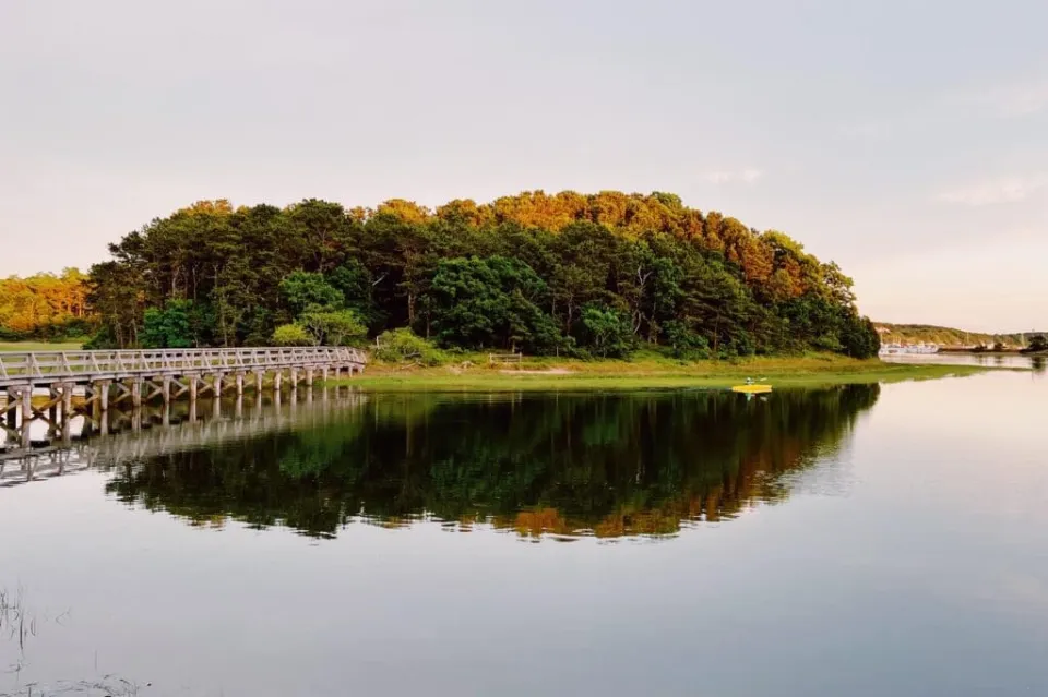 Cape Cod Cannabis Recreational Dispensary in Wellfleet, MA