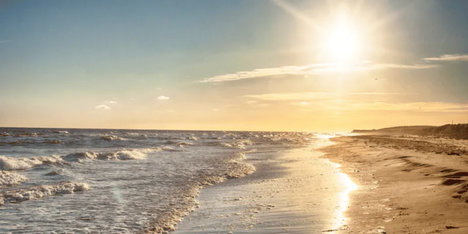 Dispensary near me cannabis-infused summer drink recipes at Cape Cod Cannabis in Wellfleet, MA