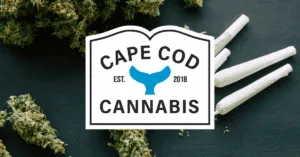 Shop Pre-Rolls at Cape Cod Cannabis Dispensary near me on Cape Cod in Wellfleet, MA