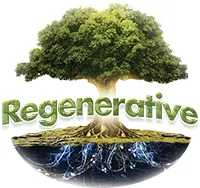 Regenerative, LLC