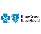 Blue Cross Blue Shield