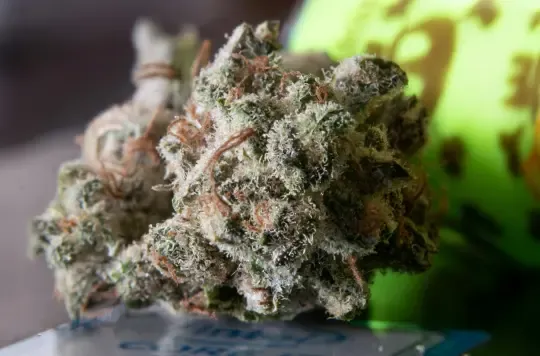 how to tell if weed is good quality