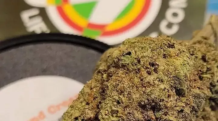 Tips for How to Pass a THC Drug Test