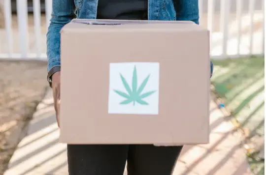 is weed delivery legal dc maryland virginia