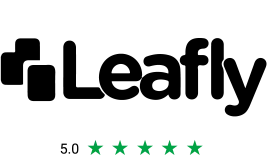 Review platform rating