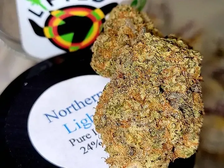 CANNABIS USE CAN IMPROVE YOUR IMMUNE SYSTEM