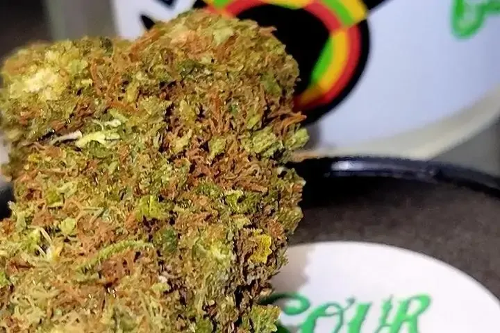 Indica vs. Sativa