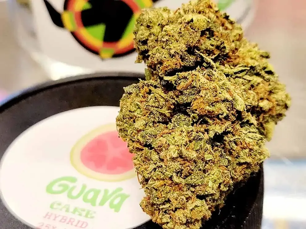Does Smoking Weed Cause Acne?