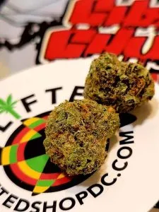 Premium Flowers